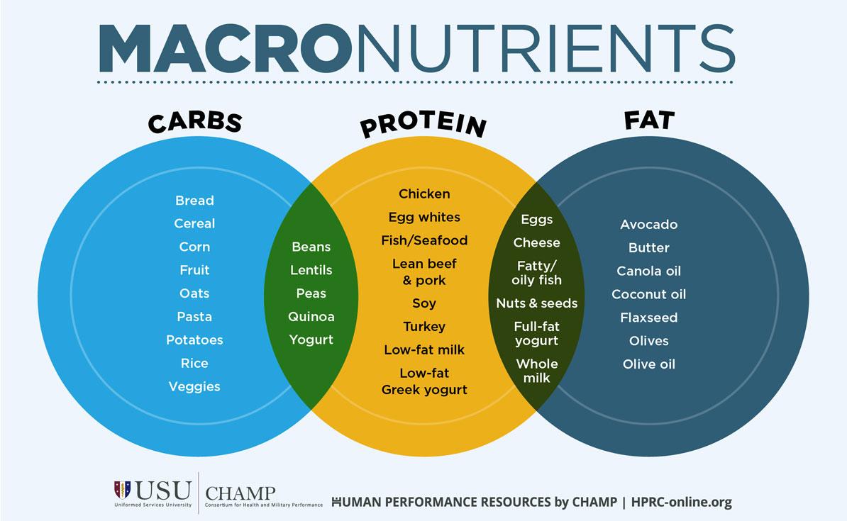 Balancing ‍Macronutrients: Building⁤ Your Ideal Keto Chart